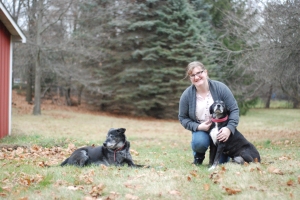 Reenie and dogs